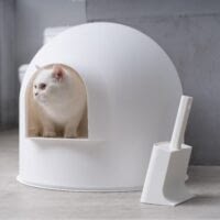 Igloo Cat Box
