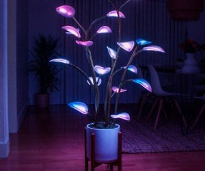 Fluora LED Houseplant