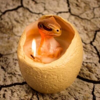 Dinosaur Egg Candle